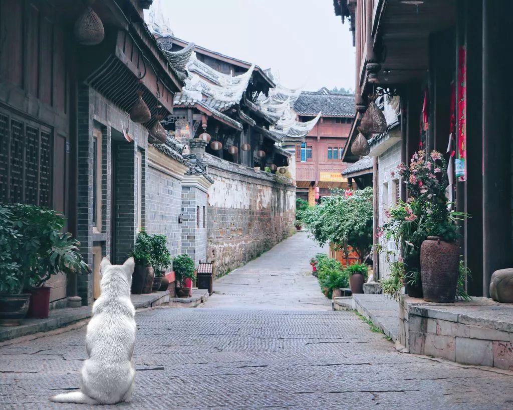 影视工厂